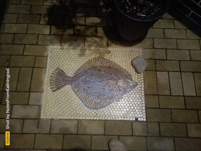 Скрытые сокровища под ногами