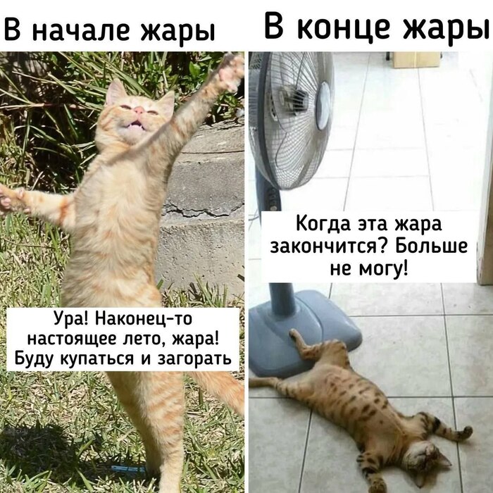 ,    ,   ,       ,   , , , 