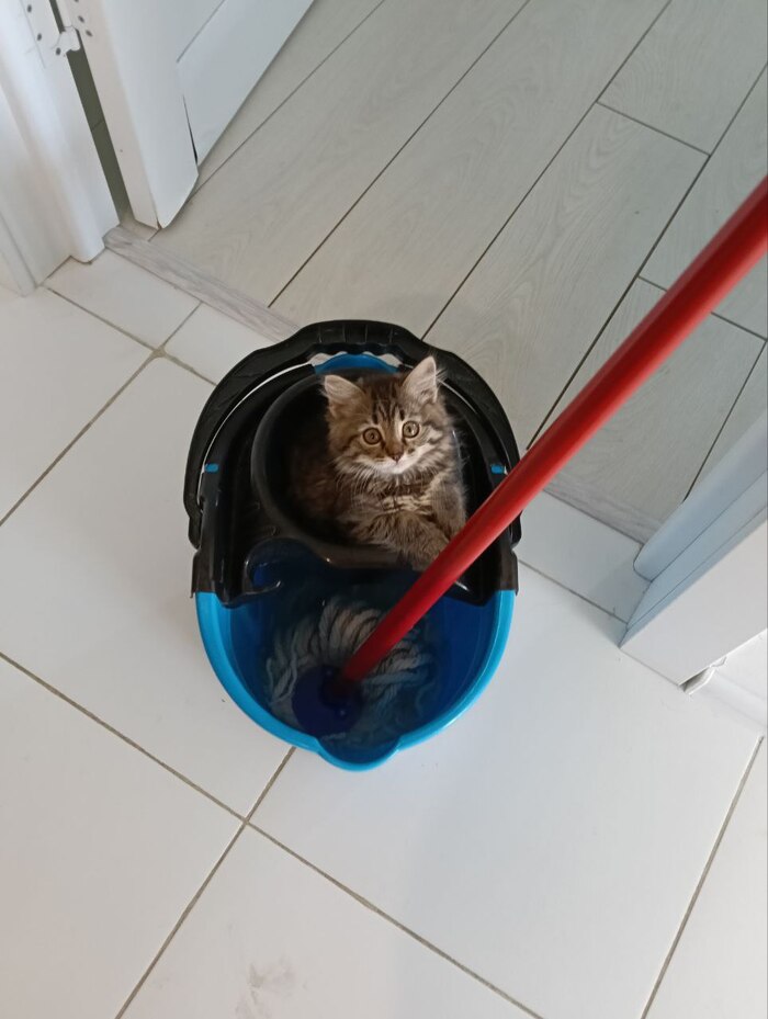   .  3  .     ,  .   ))) ,  , 