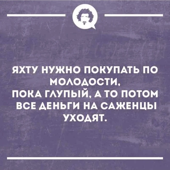 Так и понимаешь,  что молодость прошла Юмор, Грустный юмор, Ирония, Возраст, Жизненно, Старость, Неожиданно, Яхта, Молодость, Саженцы, Картинка с текстом