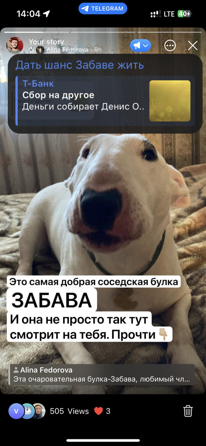 ����� �� ����� �� � ����� 3