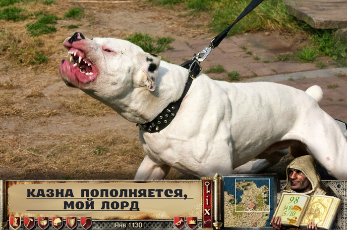    , , , , , 