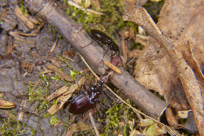  - .      .   ,     :)