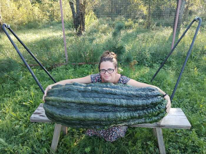 Вырастила кабачок-мутант. Теперь жду, когда за мной приедут люди в чёрном. И да, тема сисек не раскрыта...(но кабачок — огонь!)