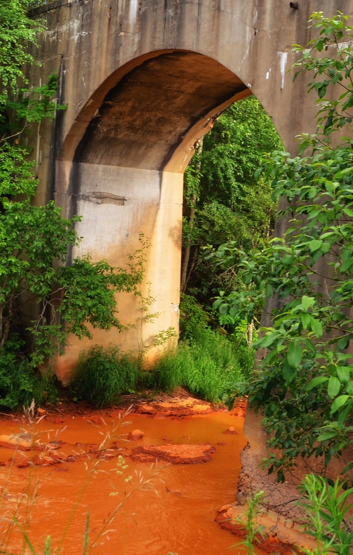 Фото: Марина Ахмадуллина