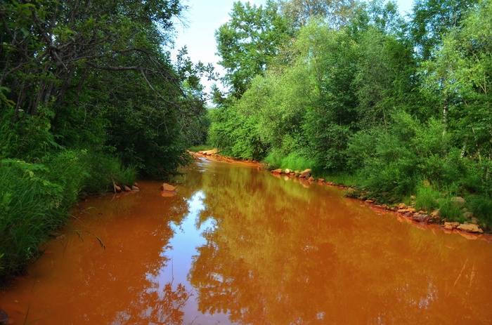 Фото: Марина Ахмадуллина