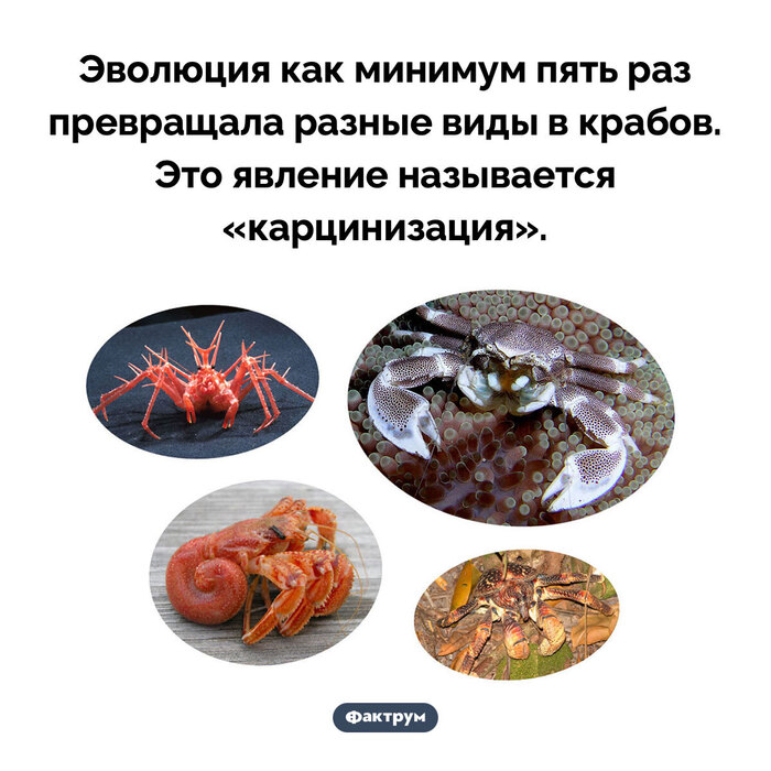        138   , , , -,   