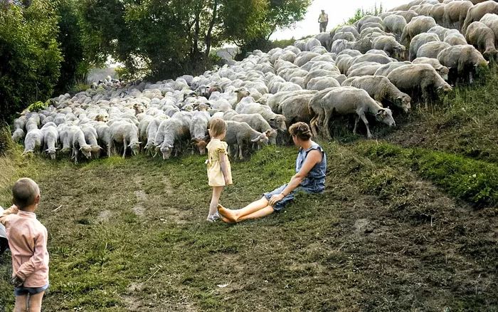 Подборка душевных и ярких фотографий деревенской жизни в СССР. 20 раскрашенных фотографий. Часть 2 Село, Деревня, Детство в СССР, Фотография, СССР, Воспоминания из детства, Колоризация, 80-е, 70-е, 60-е, Длиннопост