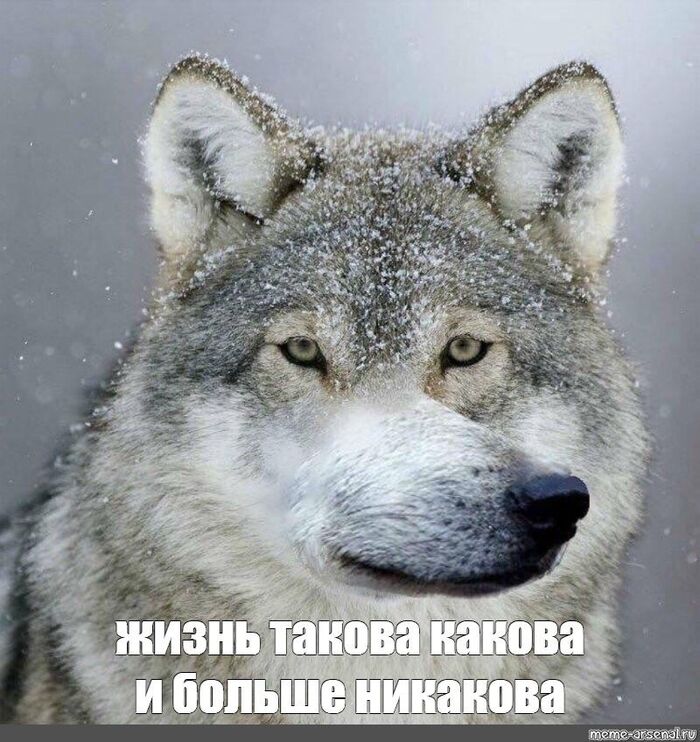        35  , ,  , , , , , ,   ,  
