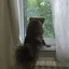 user10209311