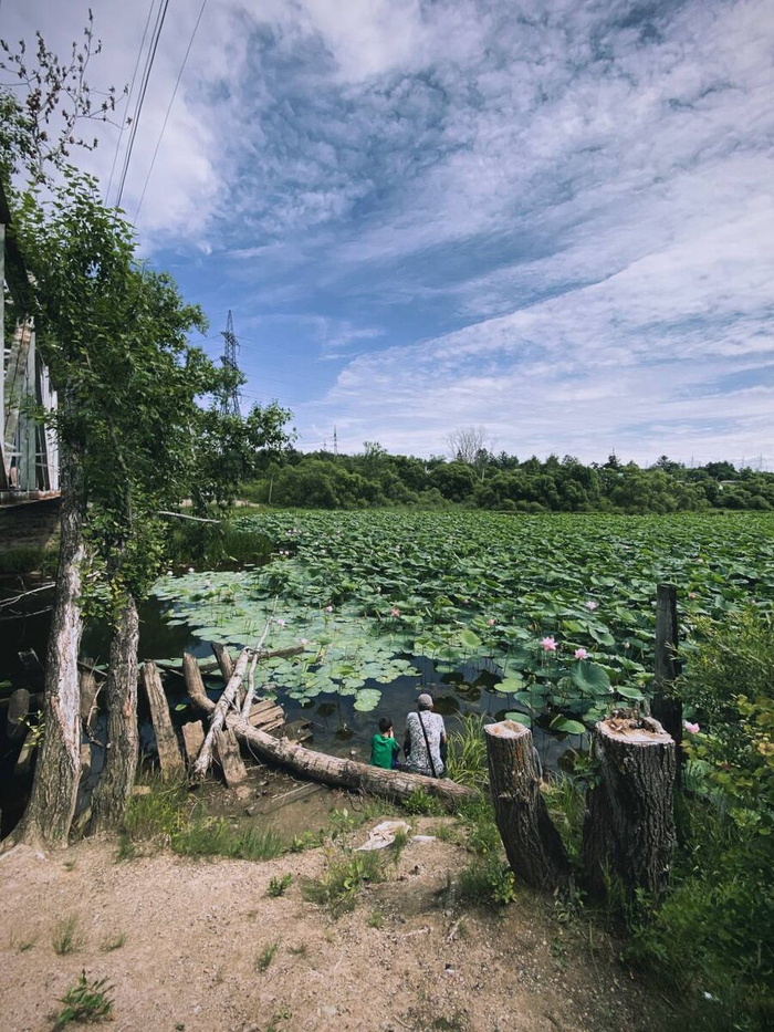 &#x1F4F7; @jinnkisss