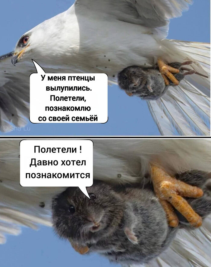 ����������� ����� �������! )�