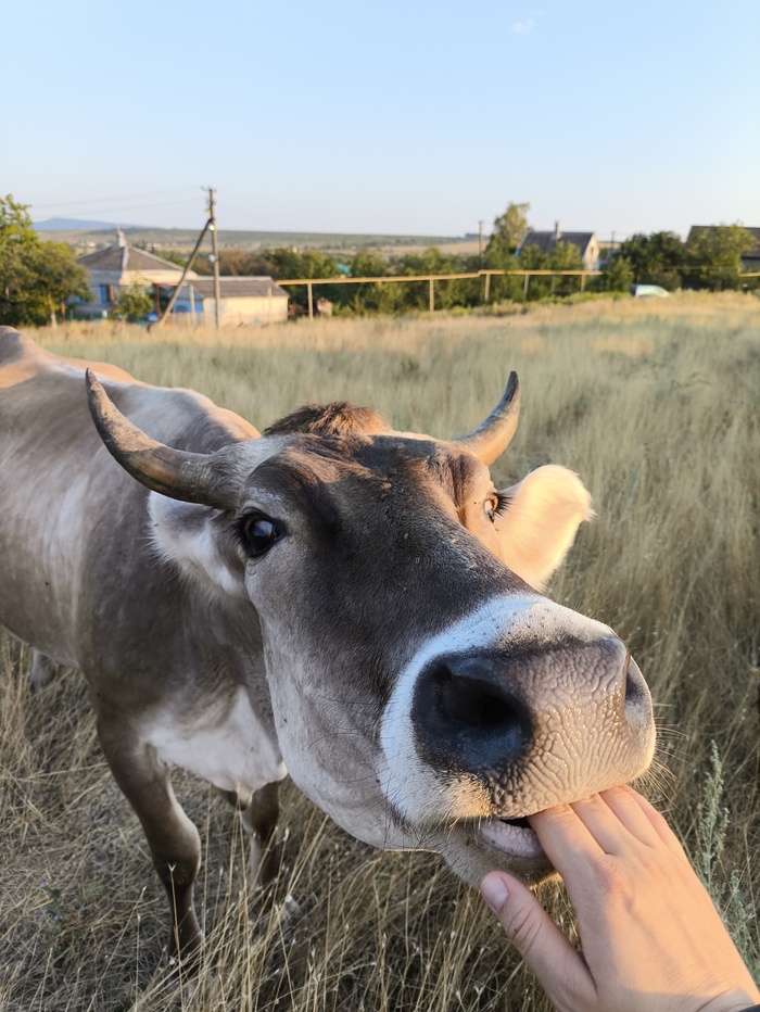 Возможно, иногда плотоядные :)