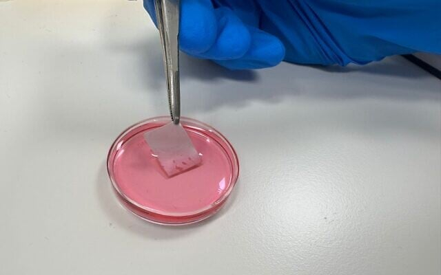      ,     -       . ( - )