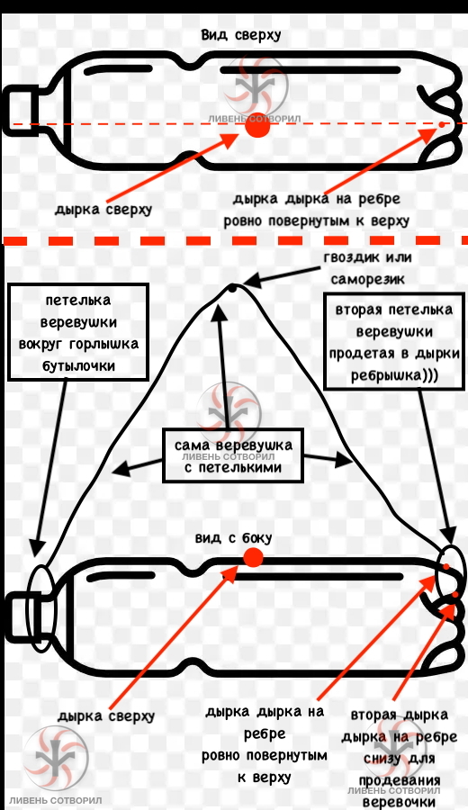  2 (      )            ,        - 