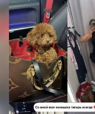 Осознание того, что тебя всю жизнь будут таскать путешествовать, вместо того чтобы держать на даче возле шашлыка