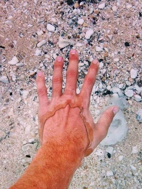    , , 