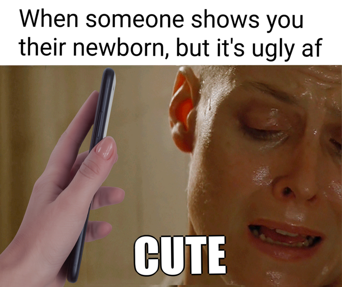  -    ,      ,   , 