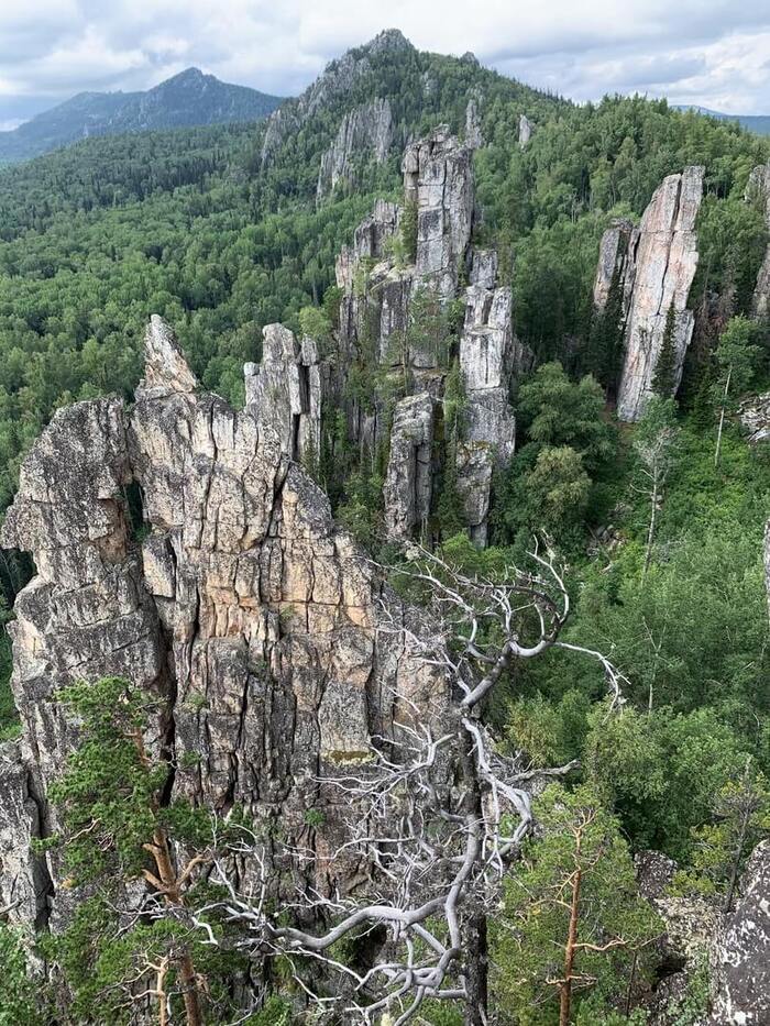 Инзерские зубчатки. Фото: Андрей Мудрей