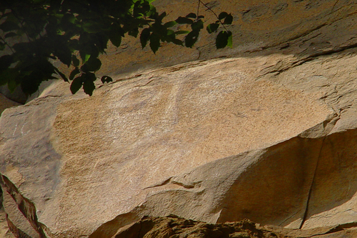     . : Mariluna/ Wikimedia Commons