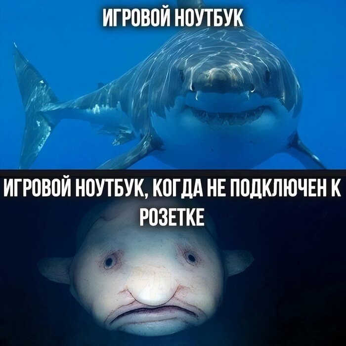Игровой ноутбук