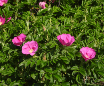 ����������!