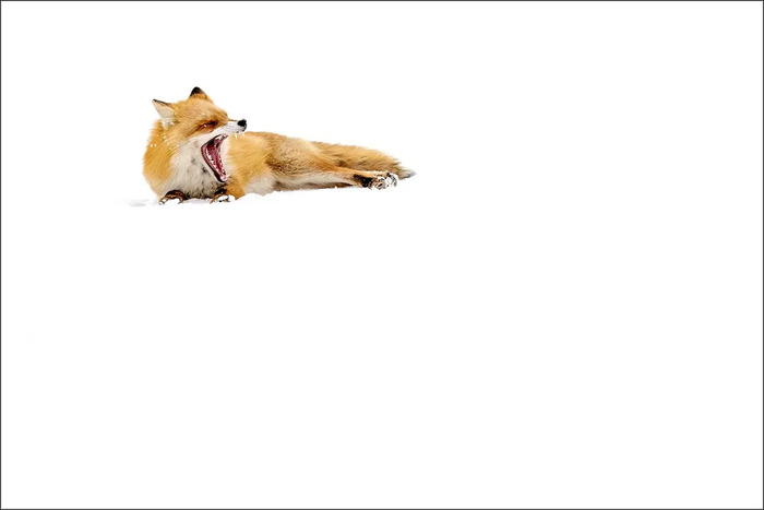  , ,  ,  ,  , , , , , , 