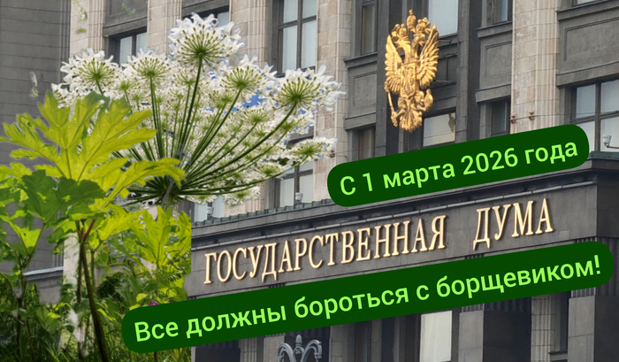          ! , , , , Telegram (),  (), 