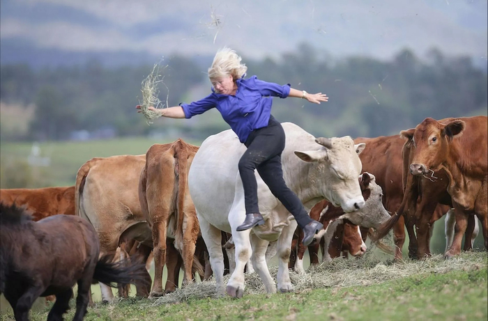Первый человек, запущенный в космос коровами. Увы, полёт оказался аварийным.