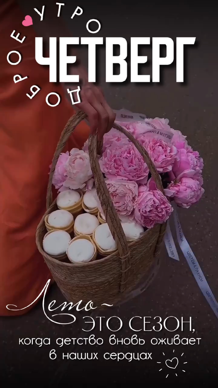 :      , , , , ,  ,  , 