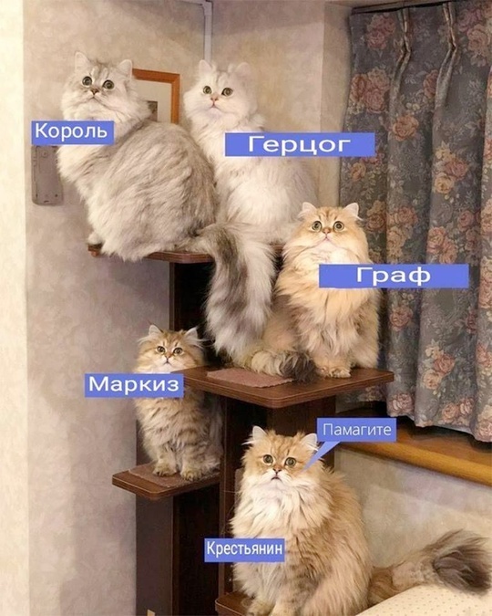    , , , 