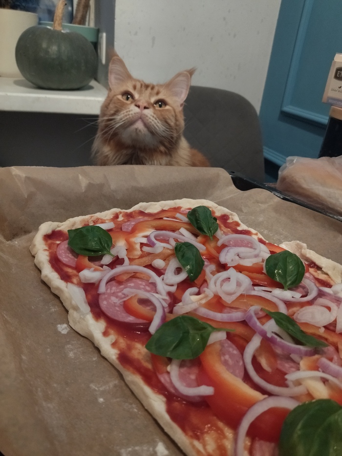 Питса, что ты со мной делаешь