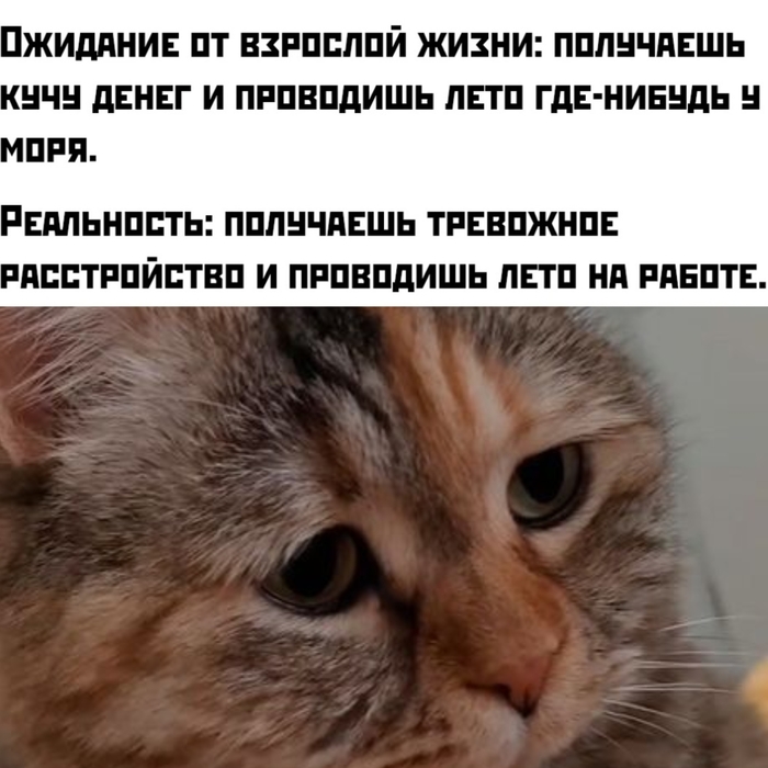    -? , , , ,  , ,  , , , , ,  ,   