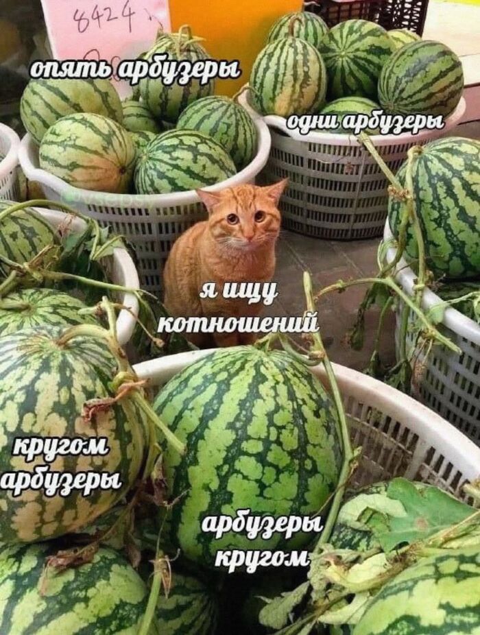 Почему я еще не женат