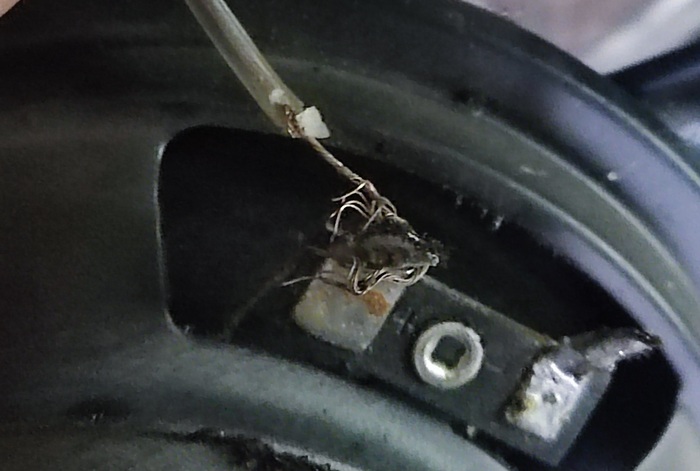       ? , , , , , , , 