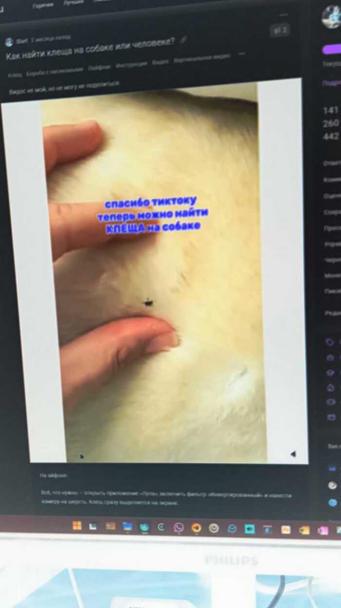          ? ,   , , , ,  ,  , , ,   