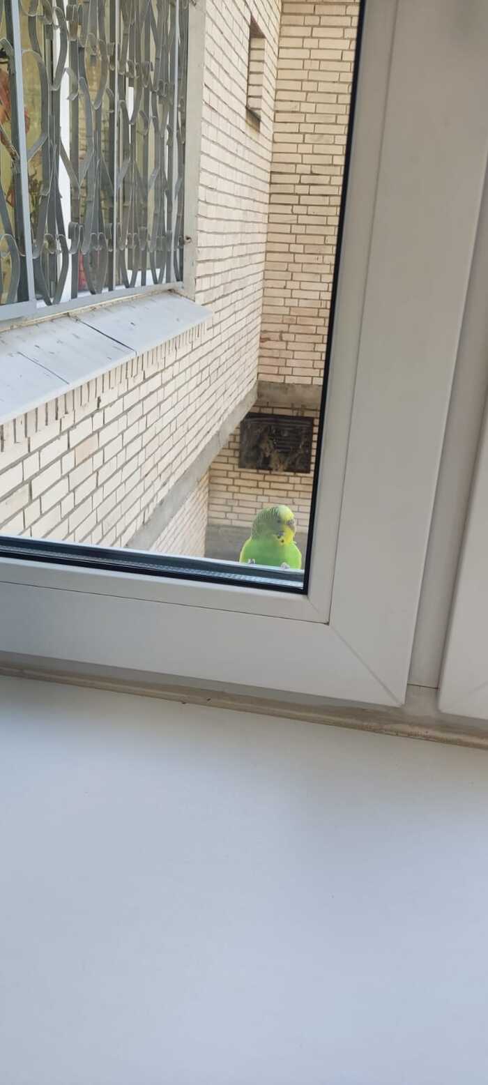 Фото сделано коллегой в туб.диспансере