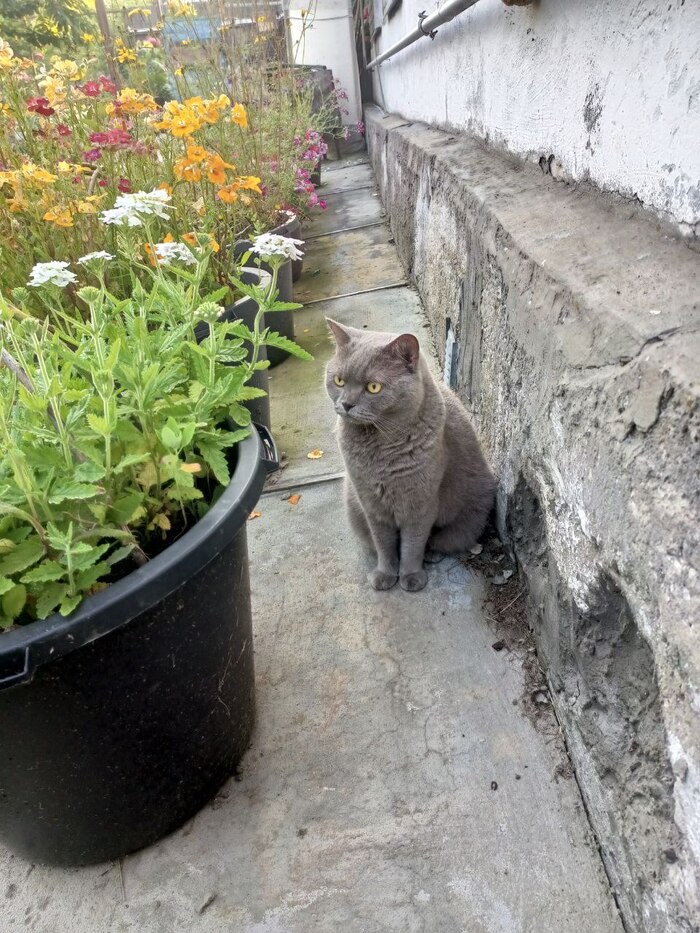 И Бургежа схуднула. Теперь появились изгибы.