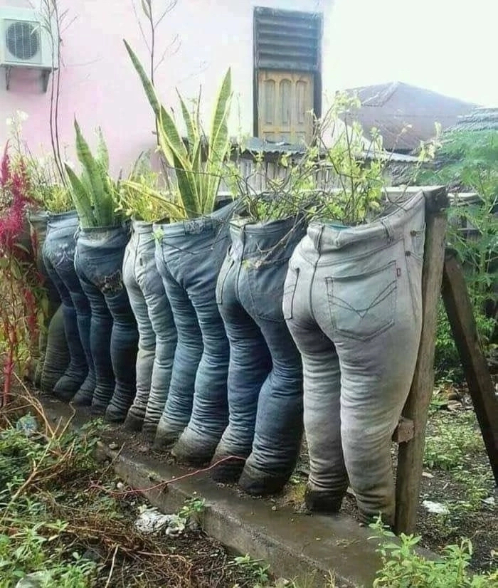        , , ,  
