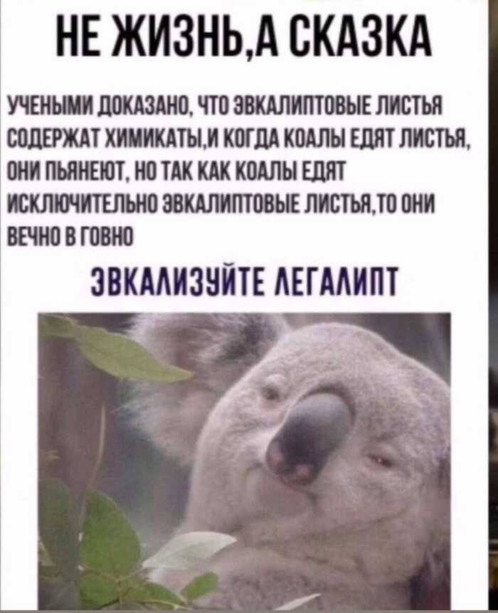    , ,   , , , , 