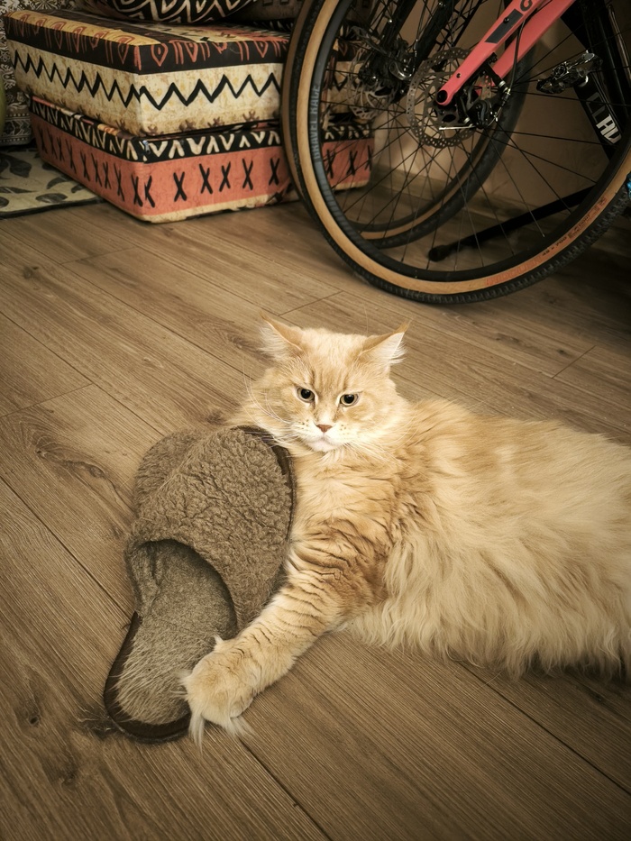 Предмет обоссжания