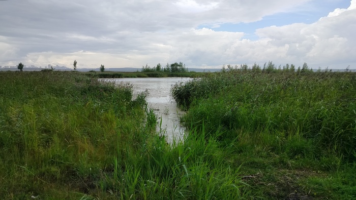 2024  - ,    ,  .     ,     ,    - .