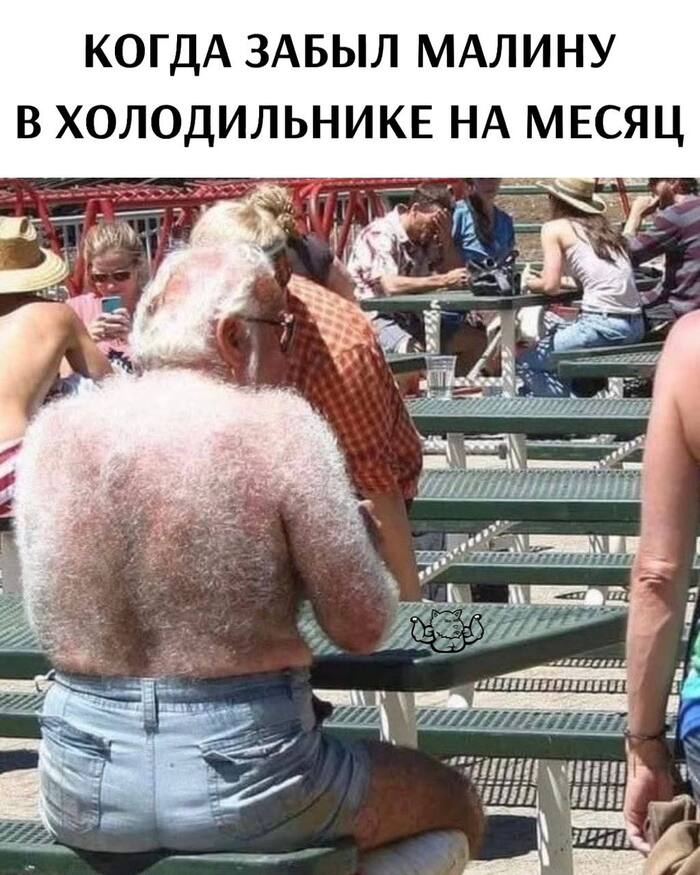   ,   , , Telegram ()
