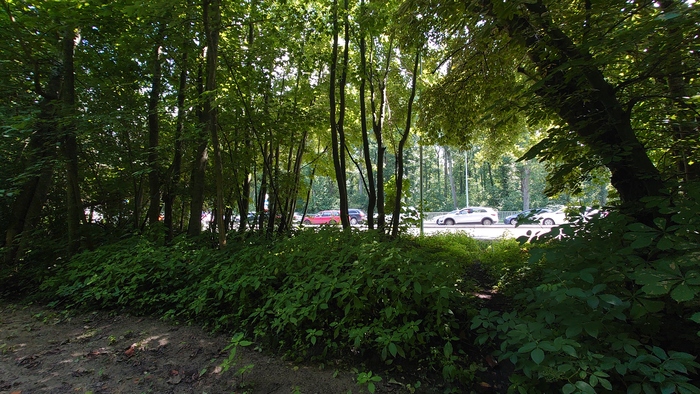 Очередь на косу