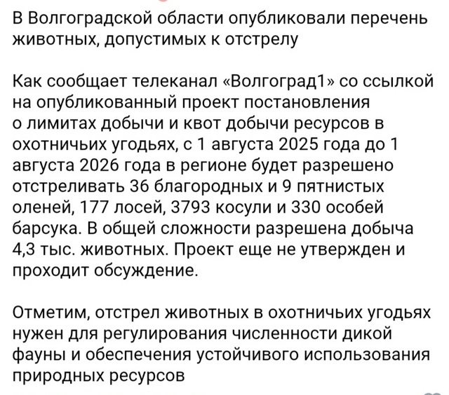  300     o ? ,  ,  , , , , , ,  , ,  (), 