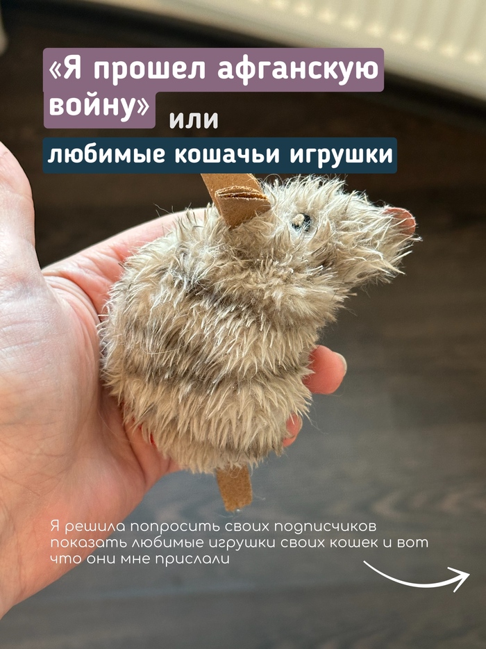 ��������� �� ���� ������������ �� ����, ���� ������� ���� ⬇️