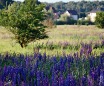 ������ | ������� | ����    ����������