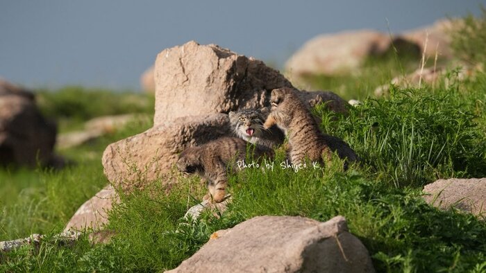 Ещё и фоткают