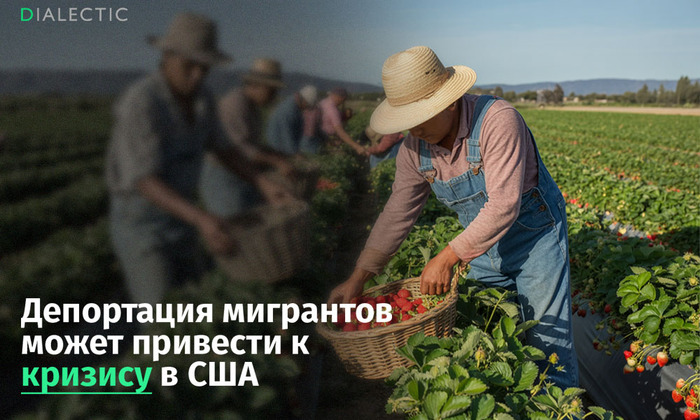 ������: ���������