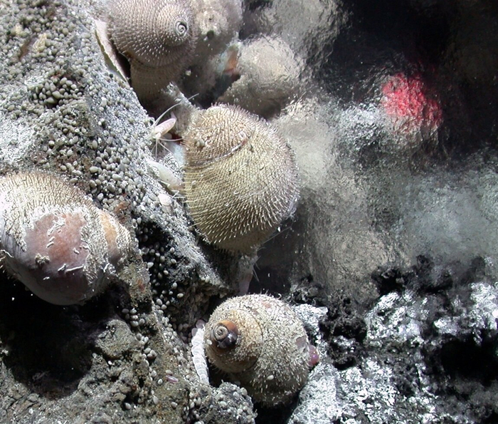 Видите странную мутную плёнку? Это кипящая вода.